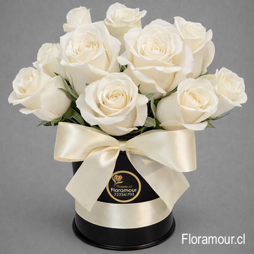 LOS ANDES - Caja tambor con 12 rosas