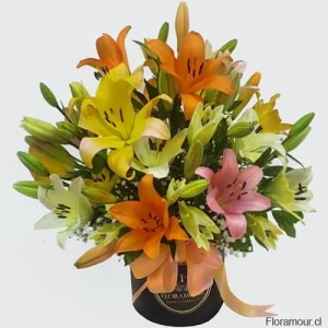 Caja de liliums multicolor