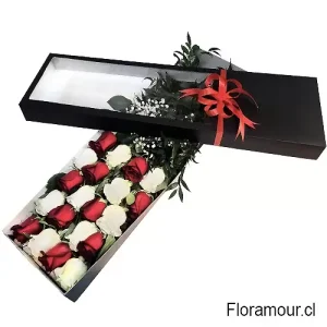 Kimura: Elegancia Atemporal - 20 Rosas Importadas Blanco y Rojo en Caja Negra con Visor