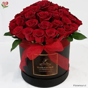 Caja redonda tambor Dynasty con 51 rosas premium  Cajas de rosas