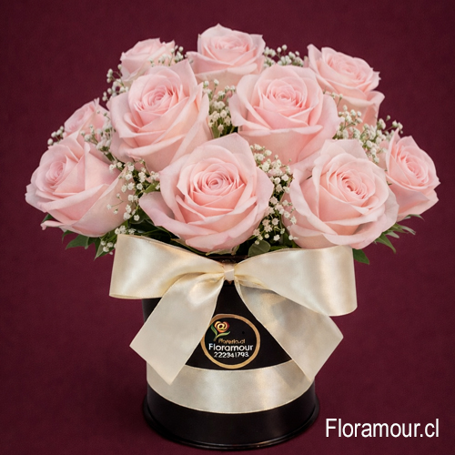 Caricia Rosé - Caja tambor con 12 rosas