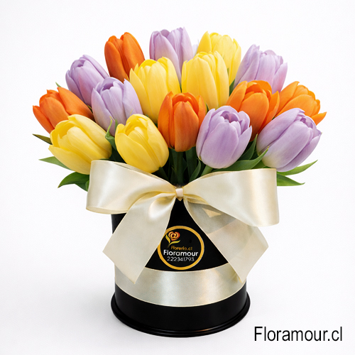 Tulip Pop - Caja tambor con 15 tulipanes