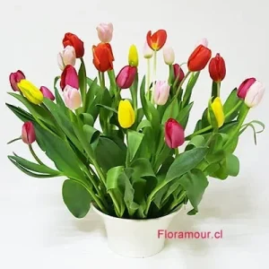 CENTRO DE TULIPANES LA FOLIE