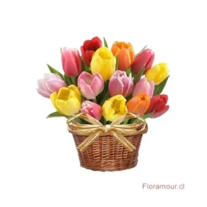 Cesta Little de Tulipanes mixtos - Canasto