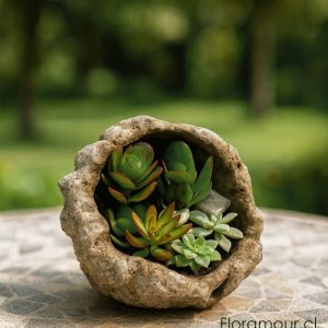 Concha ecoforma con mini jardín de suculentas