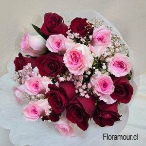 Gloria - Ramo de 18 rosas
