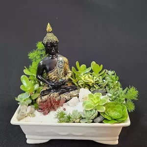 Jardín de suculentas con Buda Sidarta