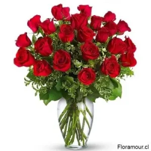 Legrand - Florero de 24 rosas rojas