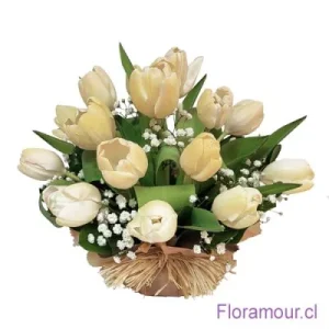 Pavé de Tulipanes