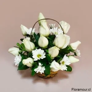 Pompadour: Un Ensueño de Pureza en un Canastito de Rosas Blancas