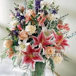 Stargazer bouquet in a vase