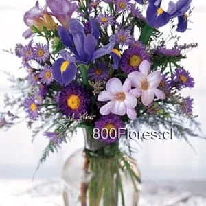Mixed flowers in violet colors