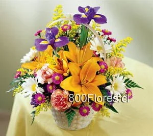 Multicolor centerpiece