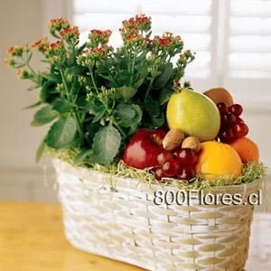 Fruits and flowers