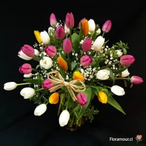 Acadian - Florero deluxe con 35 tulipanes multicolor