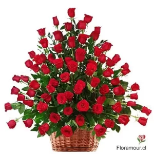 Antonia - Gran arrimo de 100 rosas
