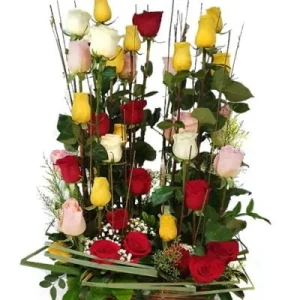 Gran bosque de rosas multicolor