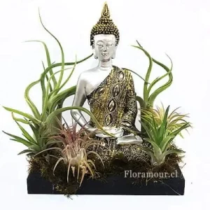 Buddha Siddartha con tillandsias
