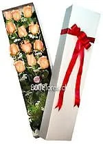 Caja de 12 rosas importadas