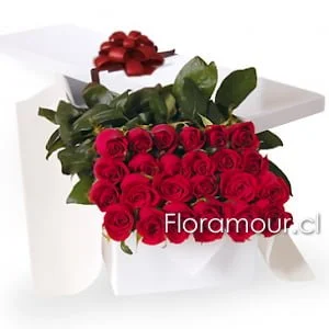 Caja con 24 rosas ecuatorianas de lujo