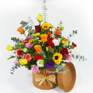 Caja tambor primavera deluxe
