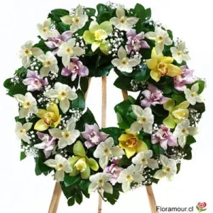 Corona de Orquídeas Premium: Homenaje Elegante y Duradero con Envío a Domicilio