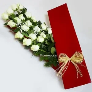 Espectacular caja roja con 20 rosas importadas