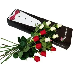 Frac - Caja de 12 rosas bicolor