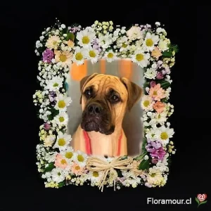 Gracias por tu tiempo - Arreglo para despedida de mascota