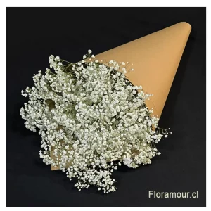 Ramo de gypsophila