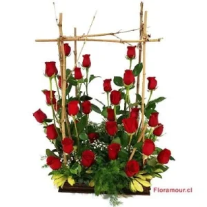 Haifa - Bosque de 30 rosas