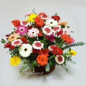 Happiness - Canasto deluxe con gerberas