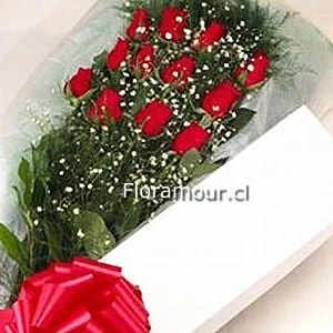 Hollywood - Caja 12 Rosas