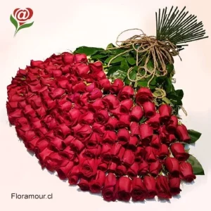 Impacto - Ramo de 150 rosas