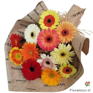 La pradera - Ramo de 12 gerberas seleccionadas