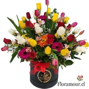 Magnifique - Caja tambor con rosas, tulipanes y gerberas