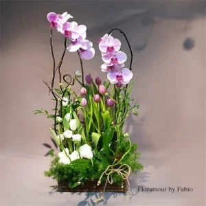 Phoenix - Jardín de orquídeas y tulipanes