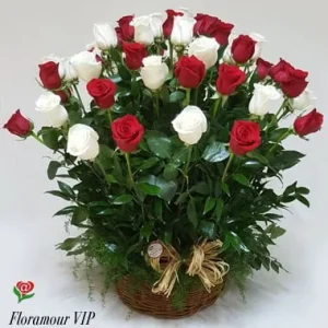 Polland - Canasto deluxe de 50 rosas