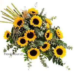 Ramo de girasoles