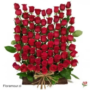 Scenarium - Gran coro de rosas