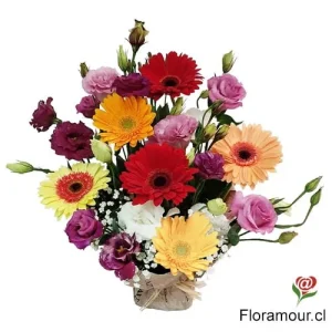 Simpático - Saco de gerberas y lisianthus multicolor