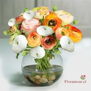 Siria - Florero de ranúnculos