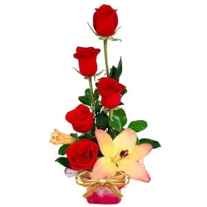 Star - Arreglo de 5 rosas y 1 lilium