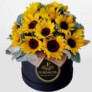 Sunshine - Caja tambor con girasoles