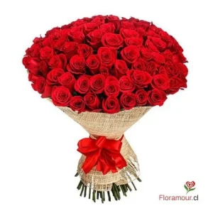 Supreme - Ramo de 100 rosas atadas