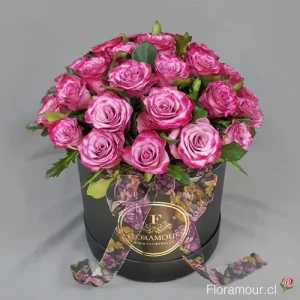 Taylor - Caja redonda con 30 rosas violeta