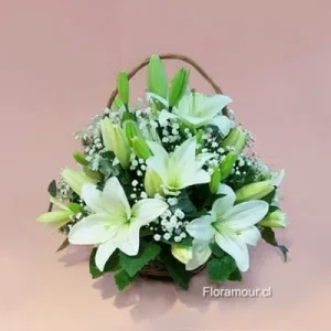 Tierna cesta de liliums