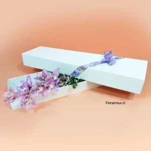 Top supreme - Caja de orquídeas