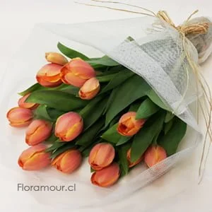 Toscana - Ramo de tulipanes