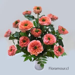 Florero de 12 Rosas Austin